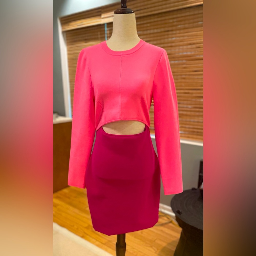 Express Colorblock Bodycon Dress Barbie  Pink with Hot Pink Bottom